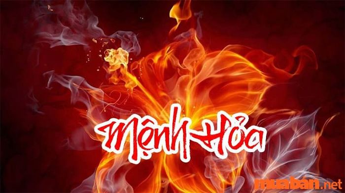 Số 83 có ý nghĩa gì trong phong thủy? Nó liên quan đến sự hòa hợp giữa các yếu tố, đặc biệt là sự kết hợp giữa hành Thổ và Mộc. Số 8 đại diện cho hành Thổ, nằm ở phương Đông Bắc của Cấn, còn số 3 thuộc hành Mộc, nằm ở phương Đông của Chấn. Đây là sự kết hợp giúp mang lại sự cân bằng trong phong thủy.