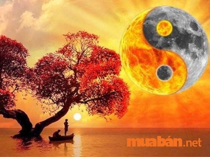 Bát tự là gì?