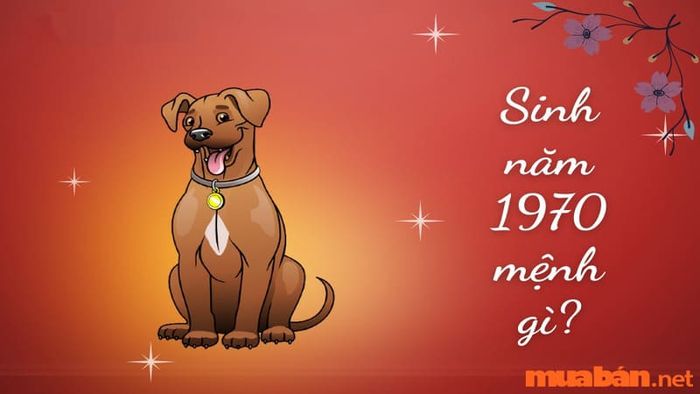Khám phá những thông tin thú vị về người sinh năm 1970 và mệnh của họ qua bài viết dưới đây.