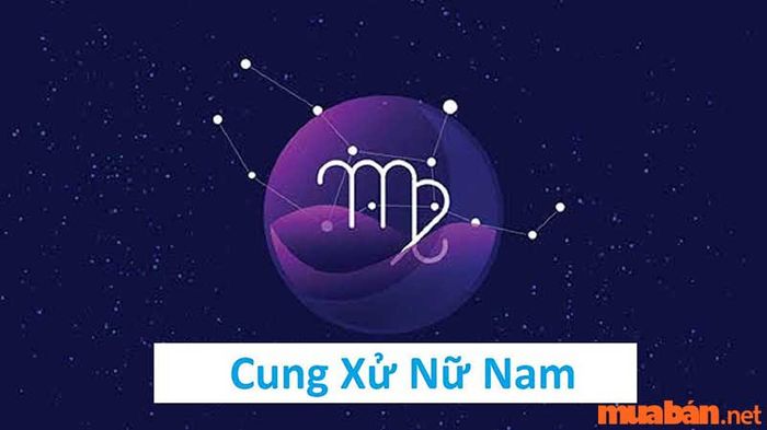 Tổng quan về tính cách của nam Xử Nữ