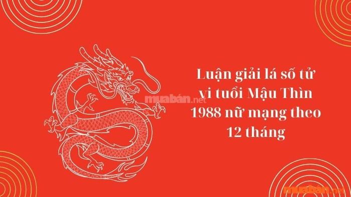 Phân tích chi tiết lá số tử vi của nữ Mậu Thìn 1988 trong suốt 12 tháng của năm 2025