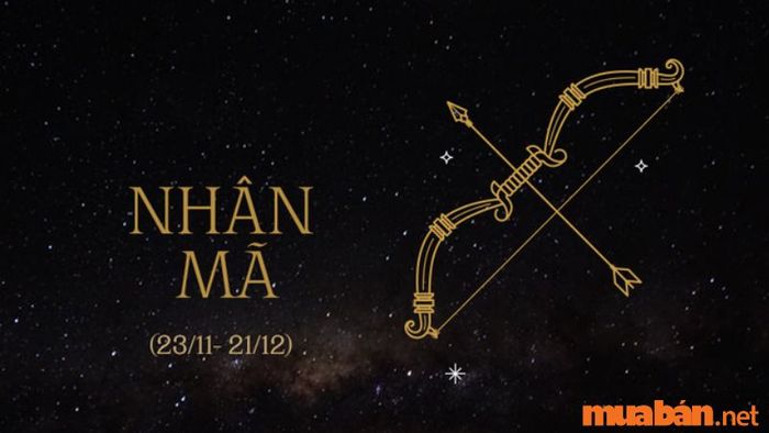 Nhân Mã sinh vào khoảng thời gian từ 23/11 đến 21/12