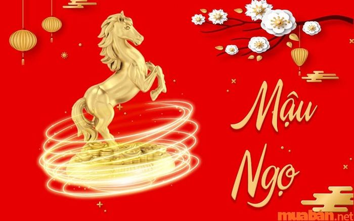 Tuổi Ngọ hợp với màu gì?