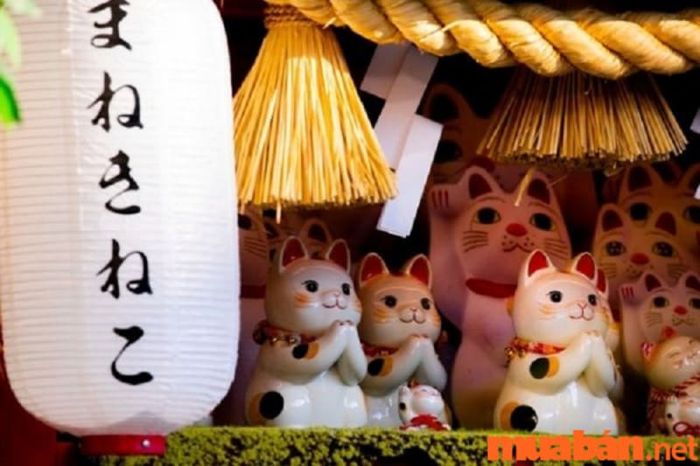 bien so xe 68 co y nghia gi 4