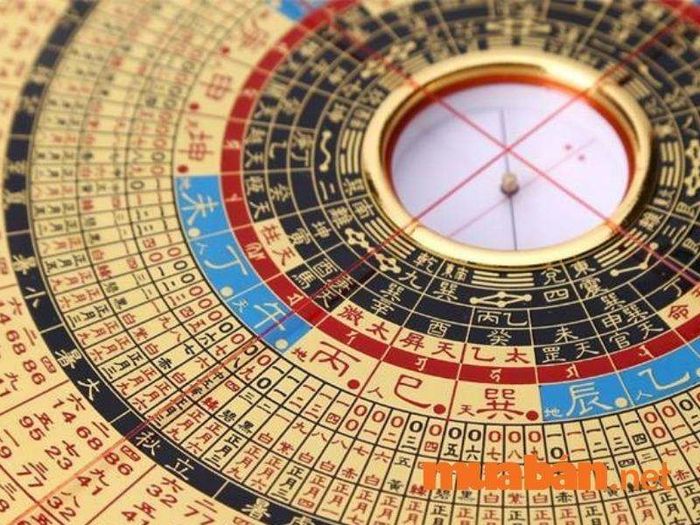 Bát tự là gì?