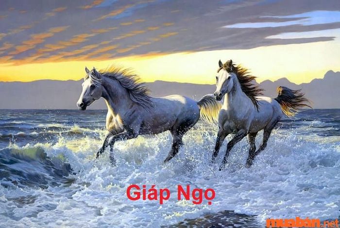 Tuổi Ngọ hợp với màu gì?