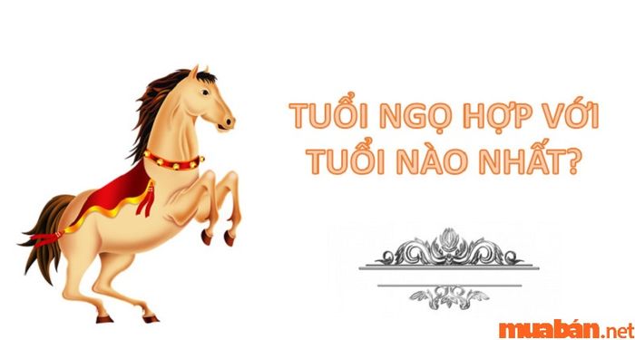 tuổi ngọ hợp màu gì