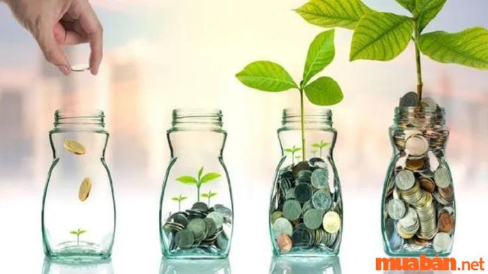 Tích lũy từng bước để đạt được thành công lớn