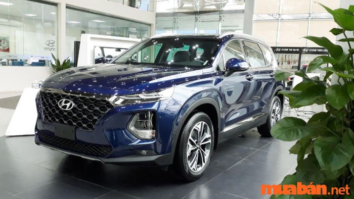 Người mệnh Dương Liễu Mộc nên ưu tiên chọn xe màu đen hoặc xanh dương (xanh nước biển), vì đây là những màu hợp với bản mệnh nhất. Màu sắc này không chỉ mang lại sự may mắn mà còn hỗ trợ tối đa về tài lộc, vận khí cho chủ nhân.