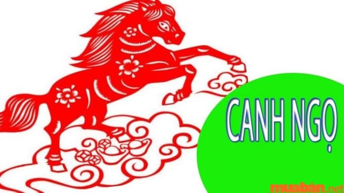 tuổi ngọ hợp màu gì