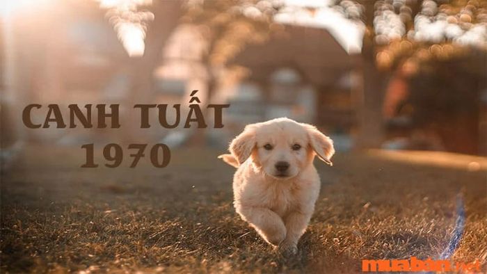 Mệnh của người sinh năm 1970 là gì?