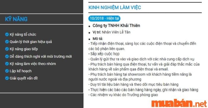 Xem hướng dẫn cách ghi kỹ năng và kinh nghiệm làm việc hiệu quả