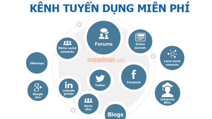 Tìm hiểu các kênh tuyển dụng khác để tăng hiệu quả tuyển dụng.