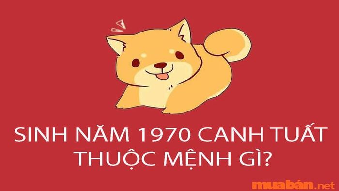 Mệnh của người sinh năm 1970 là gì?