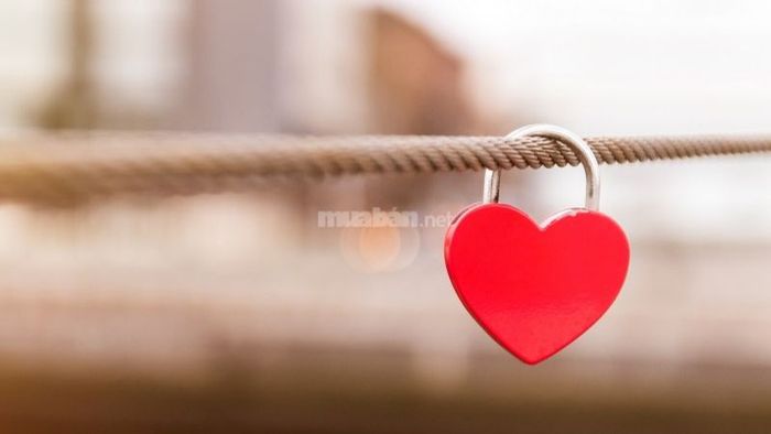 Tình duyên và gia đạo