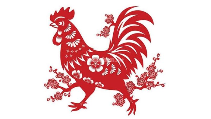 Tổng quan về tử vi nam mạng tuổi Ất Dậu 2005