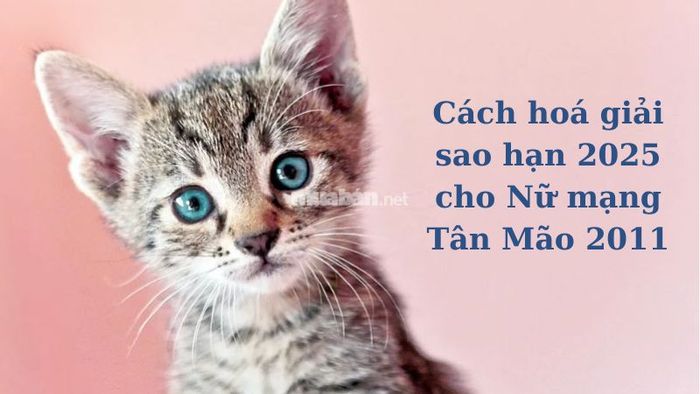 Cách hóa giải sao hạn cho nữ mạng Tân Mão 2011 trong năm 2025.