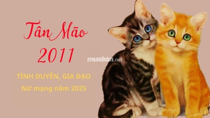 Tình cảm của nữ mạng tuổi Tân Mão 2011 trong năm 2025