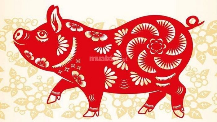 Khái quát về tuổi Đinh Hợi 2007 nam mạng
