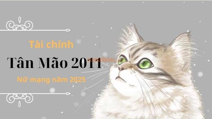 Tài chính của nữ mạng tuổi Tân Mão 2011 trong năm 2025