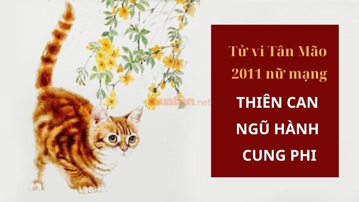 Tử vi nữ mạng Tân Mão 2011 năm 2025 qua các yếu tố thiên can, ngũ hành và cung phi