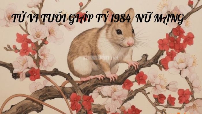 Khái quát về tử vi tuổi Giáp Tý 1984 nữ mạng năm 2025
