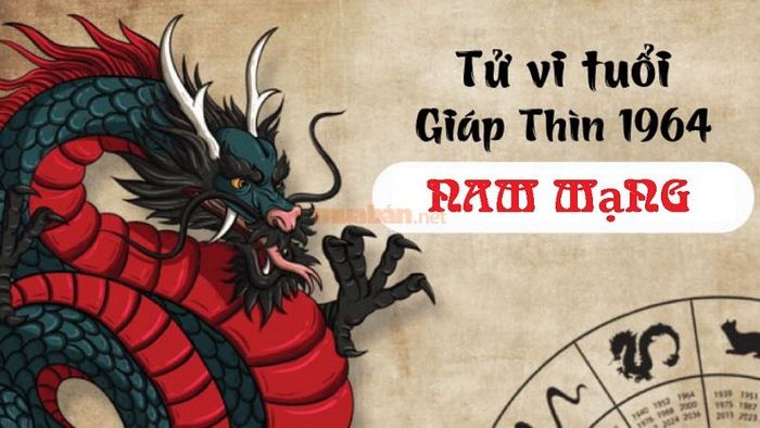 Dự đoán tử vi nam mạng tuổi Giáp Thìn 1964 năm 2025