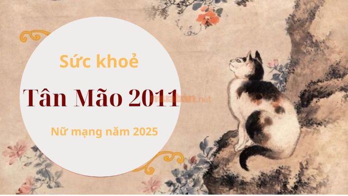 Sức khoẻ của nữ mạng Tân Mão 2011 trong năm 2025