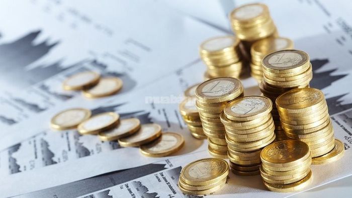 Dự báo tử vi tuổi Giáp Thìn 1964 nam mạng 2025 cho biết thu nhập của bạn có khả năng tăng trong năm nay, nhờ vào công việc chính và các khoản thu phụ.