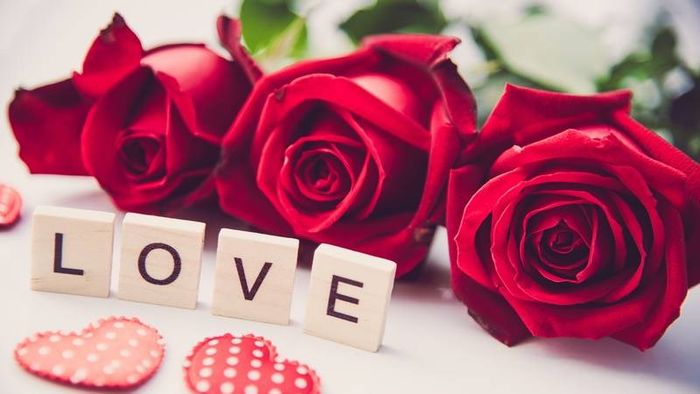 Ảnh hoa hồng đỏ ấn tượng 4