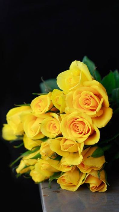 Ảnh hoa hồng vàng tuyệt đẹp cho điện thoại 4