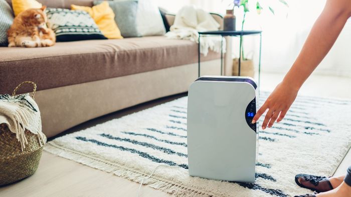 Cách sử dụng máy hút ẩm hiệu quả và tiết kiệm điện