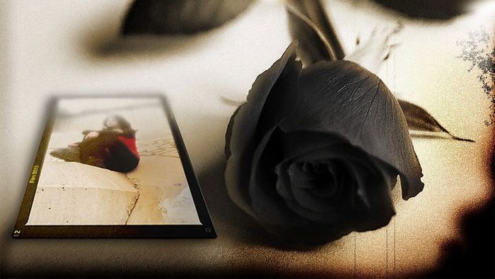 Tải ảnh hoa hồng đen đẹp nhất 3