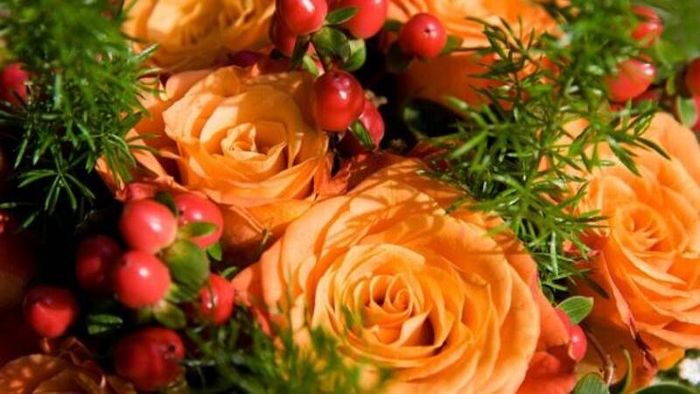 Ảnh hoa hồng cam ấn tượng 1