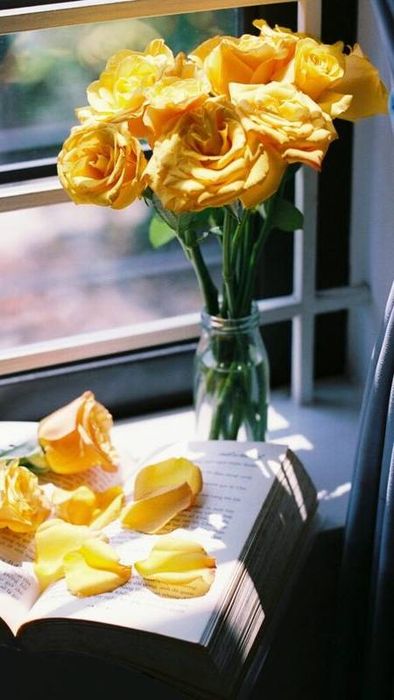 Ảnh hoa hồng vàng tuyệt đẹp cho điện thoại 5