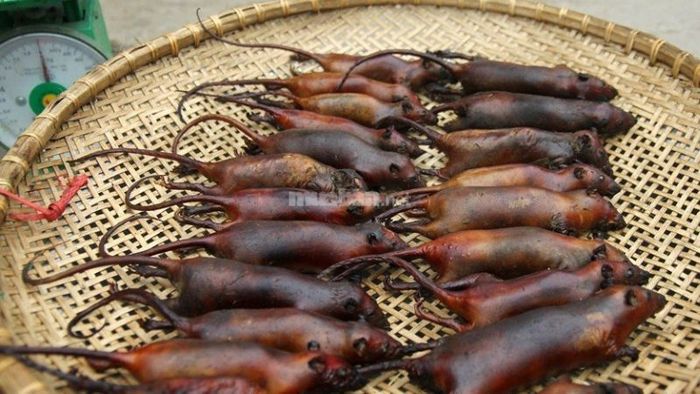 Giấc mơ thấy mình đang ăn thịt chuột phản ánh rằng bạn đang sống thiếu kế hoạch và mục tiêu rõ ràng trong cuộc sống. Có thể bạn đang sống một cách buông thả, thiếu sự chuẩn bị cho tương lai.