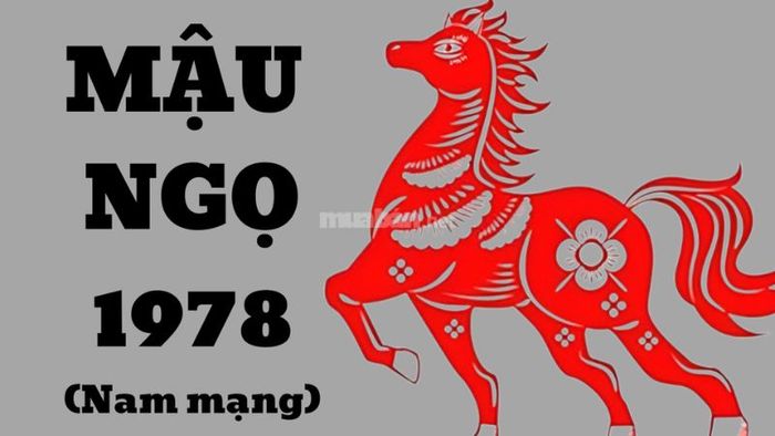 Những câu hỏi liên quan đến tử vi nam Mậu Ngọ 1978 trong năm 2024 mà nhiều người thắc mắc sẽ được giải đáp ngay sau đây.