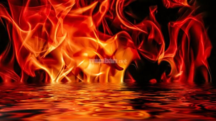 Người tuổi Mậu Ngọ có mệnh Hỏa, vì vậy sẽ hợp với các màu sắc thuộc hành Hỏa và Mộc, giúp kích thích vận khí tốt, đồng thời cần tránh các màu thuộc hành Thủy để hạn chế ảnh hưởng xấu.
