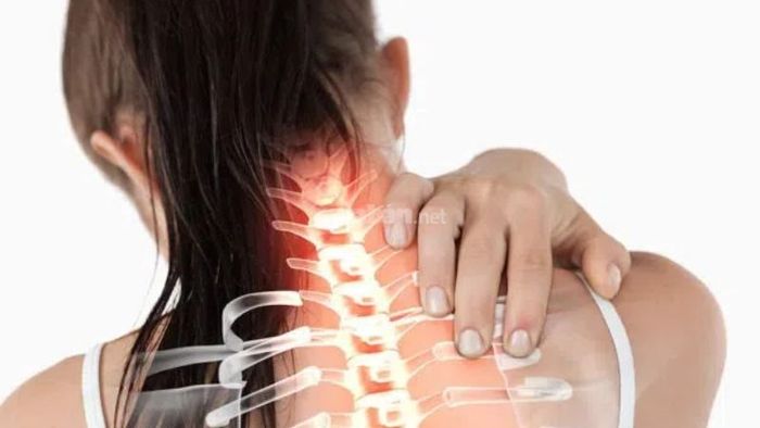 Cách dùng cây xương khỉ trong bài thuốc hỗ trợ điều trị đau nhức xương, thoái hoá cột sống