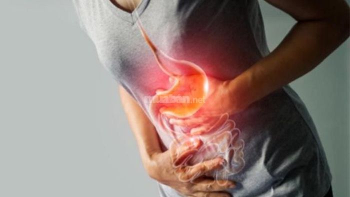 Hướng dẫn sử dụng cây xương khỉ trong bài thuốc hỗ trợ điều trị đau dạ dày