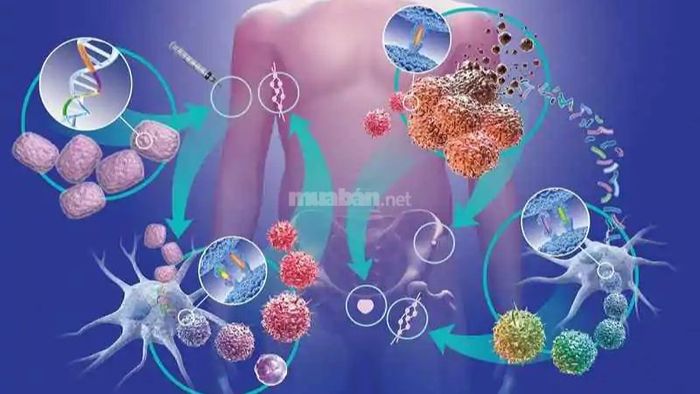 Cách sử dụng cây xương khỉ trong các bài thuốc hỗ trợ điều trị ung thư giai đoạn đầu