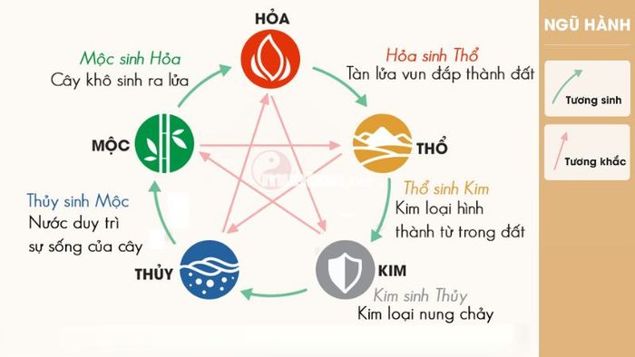 Tử vi Kỷ Mùi 1979 Nam mạng năm 2024 theo ngũ hành
