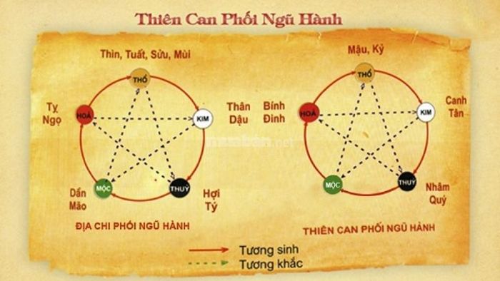 Tử vi Kỷ Mùi 1979 Nam mạng năm 2024 xét theo thiên can và địa chi