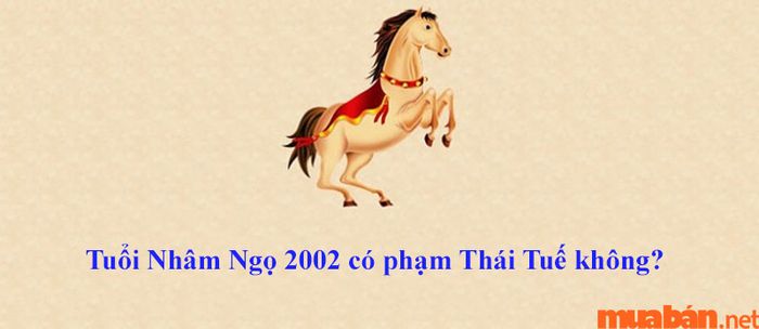 Tuổi Nhâm Ngọ 2002 nam mạng không bị phạm Thái Tuế trong năm 2024.