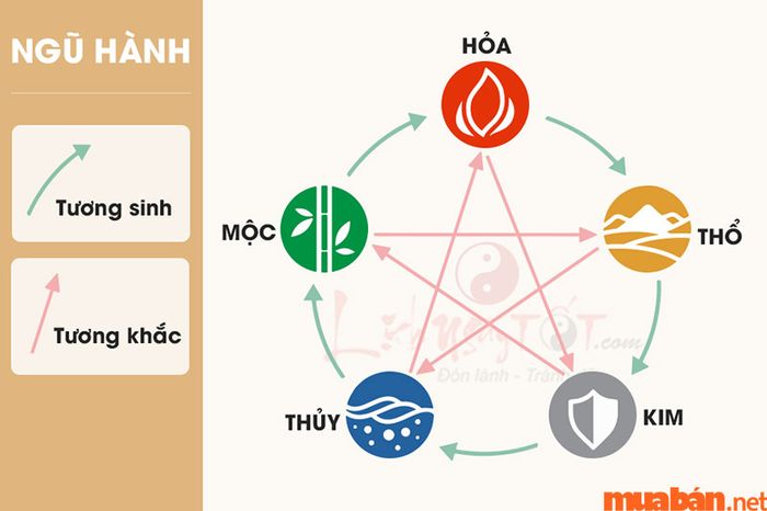 Tử vi Nhâm Ngọ 2002 nam mạng năm 2024 cho thấy người mệnh Mộc sẽ gặp nhiều thử thách