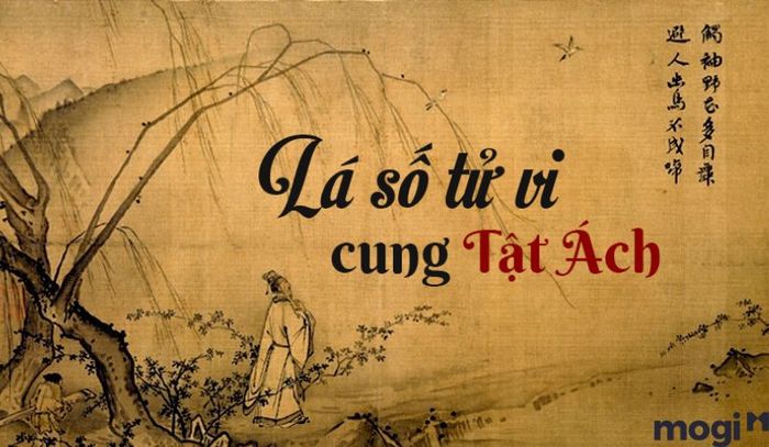 Tuần Triệt là gì - Cung Tật Ách?