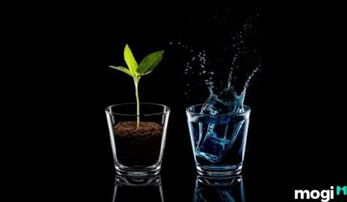 Tuần Triệt là gì - Các sao hành thủy và thổ ít chịu tác động từ Tuần Triệt