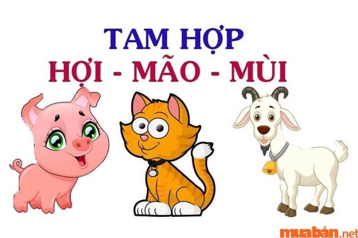 Nữ chủ nhà Quý Hợi 1983 muốn chọn người hợp tuổi xông đất vào đầu năm mới để mang lại sự may mắn và tài lộc cho gia đình.