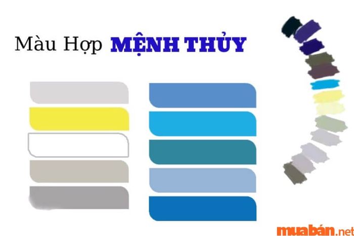 Nữ mạng Quý Hợi nên ưu tiên sử dụng đồ vật có màu sắc tương sinh hoặc tương hợp với mệnh của mình để mang lại sự may mắn và thuận lợi trong cuộc sống.