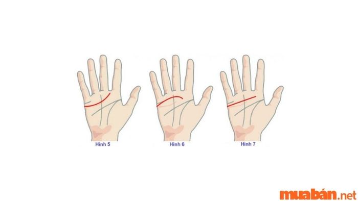 Dự đoán hôn nhân của nam, nữ qua đường tình duyên